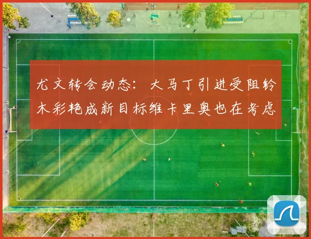 尤文转会动态：大马丁引进受阻铃木彩艳成新目标维卡里奥也在考虑中