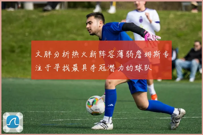 文胖分析热火新阵容薄弱詹姆斯专注于寻找最具夺冠潜力的球队